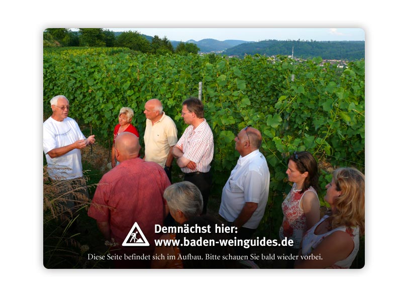 Baden Weinguides